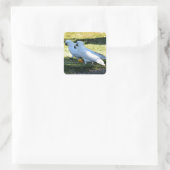 COCKATOO IST IN LÄNDLICHER QUEENSLAND AUSTRALIEN QUADRATISCHER AUFKLEBER (Tasche)