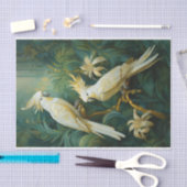 Cockatoo-Liebhaber, White Feathers Elegance Seidenpapier (Handwerk)