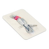 Cockatoo Magnet (Rechte Seite)