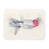 Cockatoo Magnet (Horizontal)