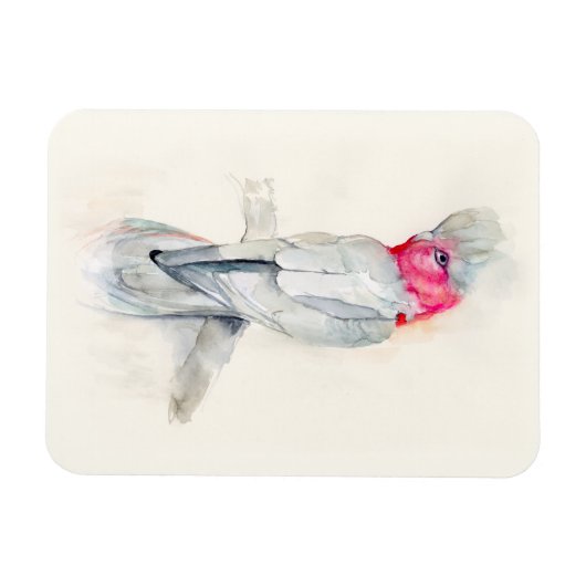 Cockatoo Magnet (Horizontal)