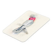 Cockatoo Magnet (Linke Seite)