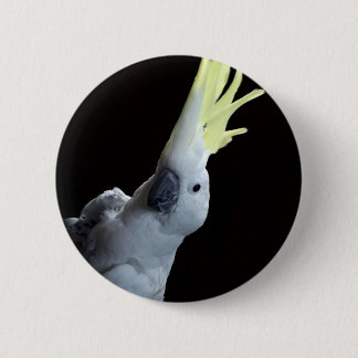 Cockatoo-Papagei Button
