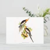 Cockatoo Parakeet Feiertagskarte (Stehend Vorderseite)