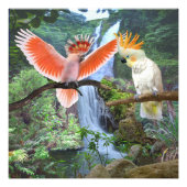 COCKATOO PARROS IN PARADISCH FOTODRUCK (Vorne)