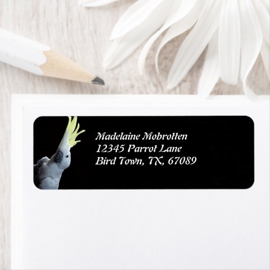 Cockatoo Parrot (Insitu)