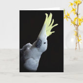 Cockatoo Parrot Karte (Gelbe Blume)