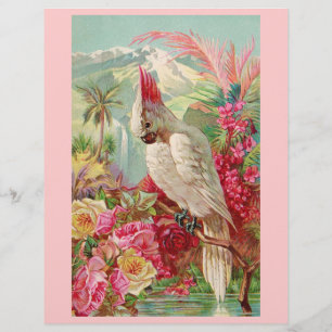 Cockatoo Pink Roses