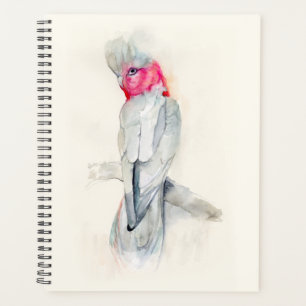 Cockatoo Planer