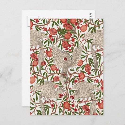 Cockatoo & Pomegranate by Walter Crane Art Nouveau Postkarte (Vorne/Hinten)