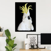 Cockatoo Poster 24x36" (Heimbüro)