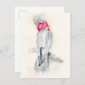 Cockatoo Postkarte (Vorne/Hinten)