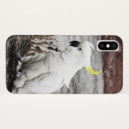 Cockatoo Schwefel-Mit Haube Case-Mate iPhone Hülle (Rückseite (Horizontal))