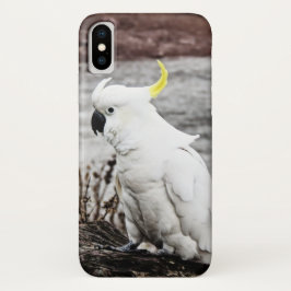 Cockatoo Schwefel-Mit Haube Case-Mate iPhone Hülle