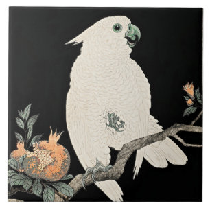 Cockatoo und Granatapfel, schöne Kunst von Ohara K Fliese