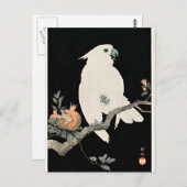 Cockatoo und Granatapfel, schöne Kunst von Ohara K Postkarte (Vorne/Hinten)