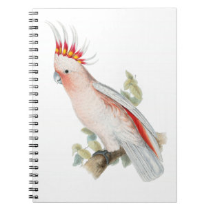 Cockatoo Vintage Kunst Notizblock