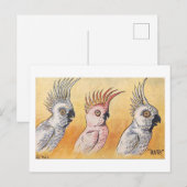 Cockatoos, Louis Wain,  Postkarte (Vorne/Hinten)