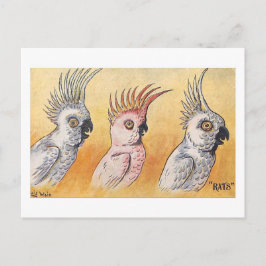 Cockatoos, Louis Wain,  Postkarte
