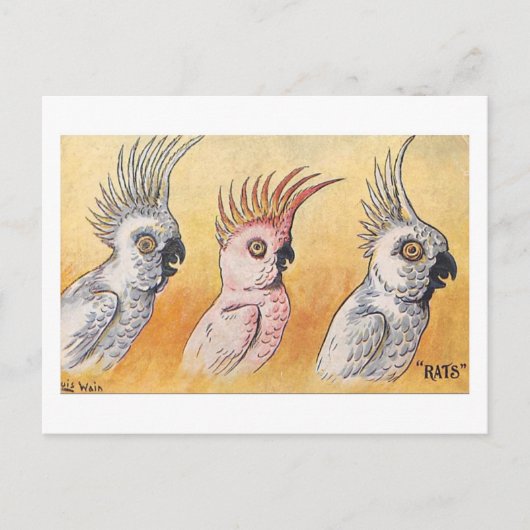 Cockatoos, Louis Wain,  Postkarte (Vorderseite)
