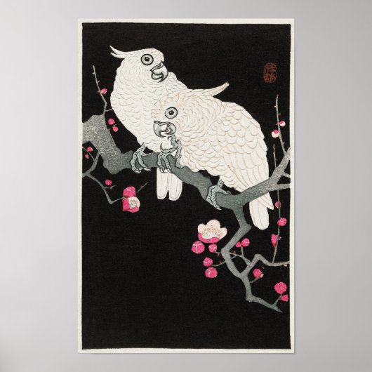Cockatoos und Plum Blossom von Ohara Koson Poster (Vorne)