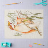 Cockatottopapier Seidenpapier (Basteln)