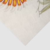 Cockatottopapier Seidenpapier (Detail)