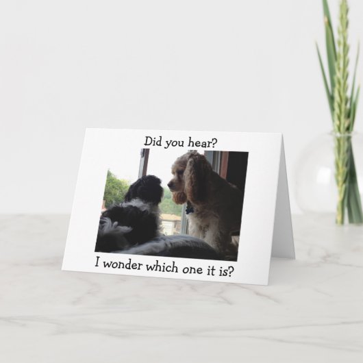 COCKER / HAVANESE SAGEN, WELCHER GEBURTSTAG IST ES KARTE (Vorderseite)