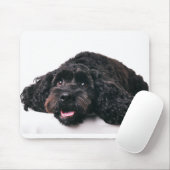 Cocker Poodle Mix Welpenmousepad Mousepad (Mit Mouse)