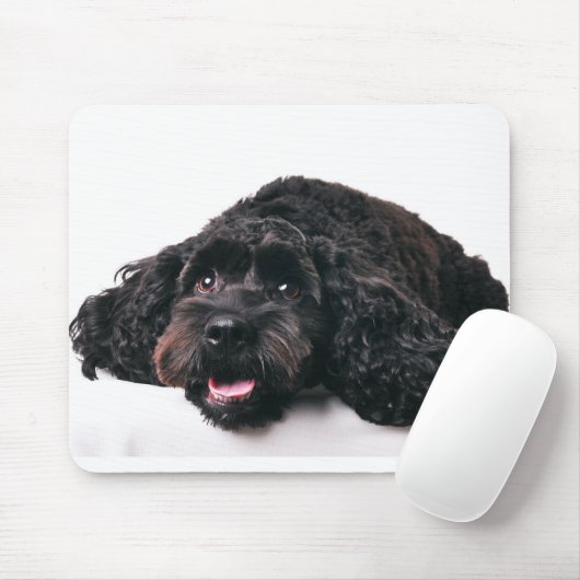 Cocker Poodle Mix Welpenmousepad Mousepad (Mit Mouse)