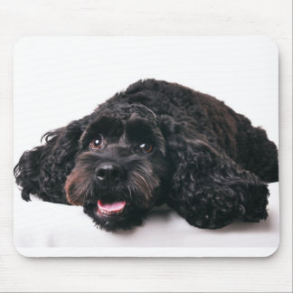 Cocker Poodle Mix Welpenmousepad Mousepad