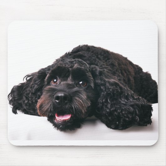 Cocker Poodle Mix Welpenmousepad Mousepad (Vorne)