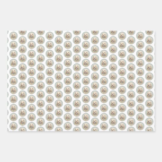 Cocker Spanel Buff Painting - Original Dog Art Geschenkpapier Set (Vorderseite 2)