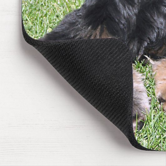 Cocker Spanel Foto Mousepad (Ecke)