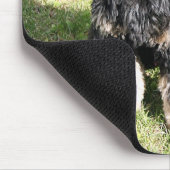 Cocker Spanel Foto Mousepad (Ecke)