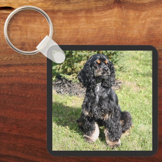 Cocker Spanel Foto Schlüsselanhänger (Vorderseite)