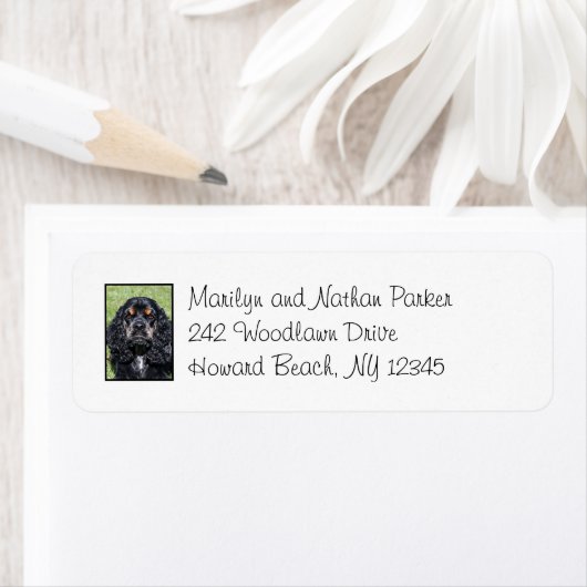 Cocker Spanel Hund Rücksendeadresse (Insitu)