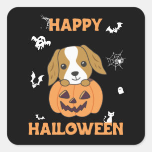 Cocker Spanel Pumpkin Niedlich Hunde Happy Hallowe Quadratischer Aufkleber