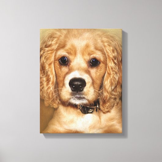 Cocker Spanel Puppy Portrait Leinwand Wrap (Vorderseite)