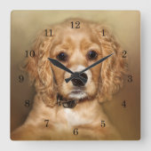 Cocker Spanel Puppy Quadratische Wanduhr (Vorderseite)