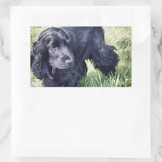 Cocker Spanel Puppy Rechteckiger Aufkleber (Tasche)