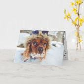 Cocker Spanel Riech ich Kuchen Geburtstag Karte (Gelbe Blume)