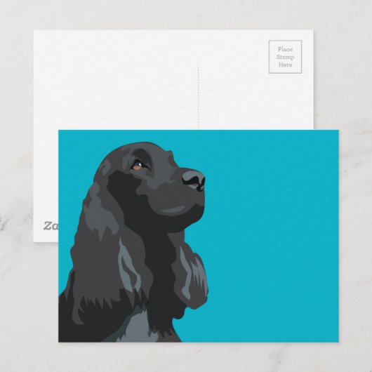 Cocker Spanel - Schwarz - Vorlagen der Rasse Postkarte (Vorne/Hinten)