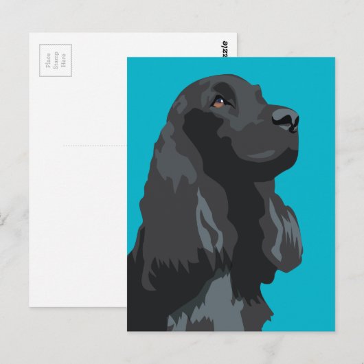 Cocker Spanel - Schwarz - Vorlagen der Rasse Postkarte (Vorne/Hinten)