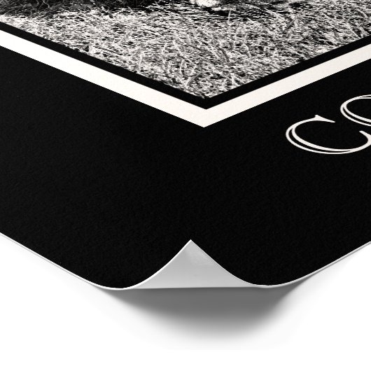 Cocker Spanel Sketch Poster (Ecke)