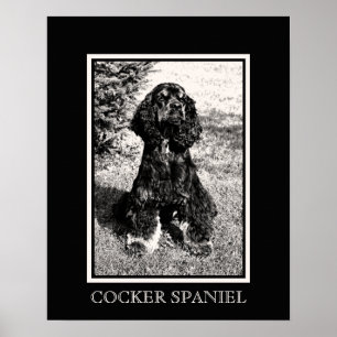 Cocker Spanel Sketch Poster