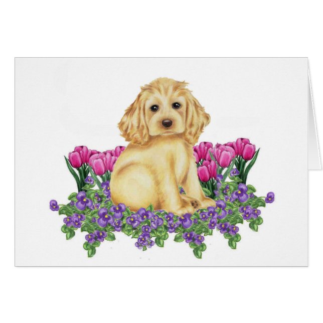 Cocker spaniel (Vorderseite (Horizontal))