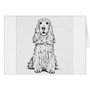 Cocker spaniel