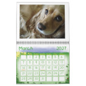 Cocker spaniel 2012 Kalender (Mär 2027)