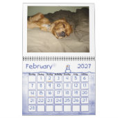 Cocker spaniel 2012 Kalender (Feb 2027)